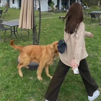 在切瑟尔海滩上